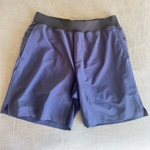 Fabletics Mens Lined Shorts